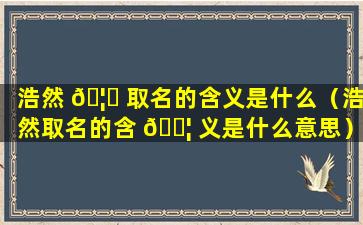 浩然 🦟 取名的含义是什么（浩然取名的含 🐦 义是什么意思）